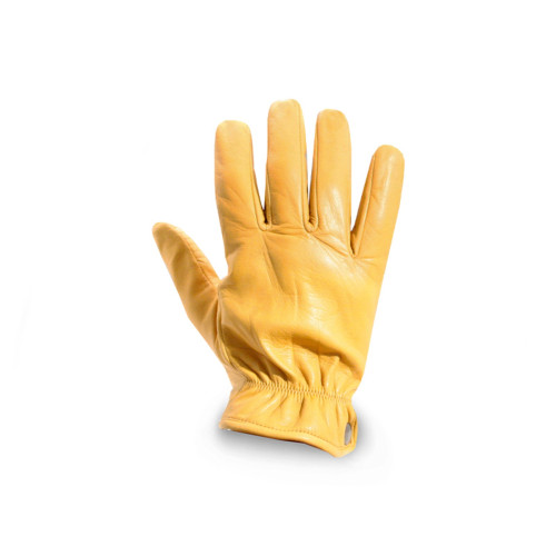 PartzBiz HD: 5900721-Men’S Glove 