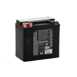 PartzBiz HD 96964 - Genuine Battery 66000206A 12Ah Agm For Vrsc Buell Xb Blast Models