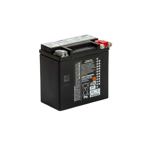 PartzBiz HD: 5000109-Genuine Battery 66000208A 12Ah Agm For Sportster Xl And Xr Models From ’04 Onwards PartzBiz HD: 5000109-Genuine Battery 66000208A 12Ah Agm For Sportster Xl And Xr Models From ’04 Onwards