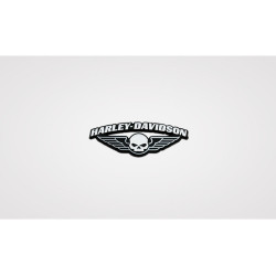 PartzBiz HD 101744 - Harley-Davidson Pin 