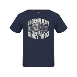 PartzBiz HD 104133 - เสื้อเชิ้ตตัวแทนจำหน่ายผู้ชาย Harley-Davidson Grunge H-D R004863