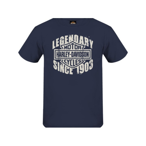PartzBiz HD: 5901238-เสื้อเชิ้ตตัวแทนจำหน่ายผู้ชาย Harley-Davidson Grunge H-D R004863 PartzBiz HD: 5901238-เสื้อเชิ้ตตัวแทนจำหน่ายผู้ชาย Harley-Davidson Grunge H-D R004863