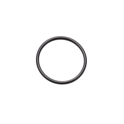 PartzBiz HD 3407 - Original O-Ring Gasket *11105*
