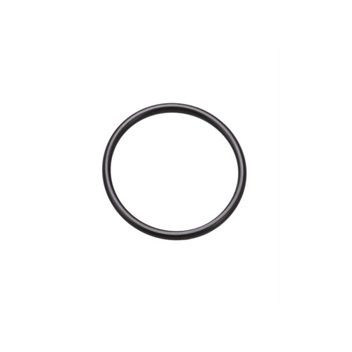 PartzBiz HD: 5001002-Original O-Ring Gasket *11105*