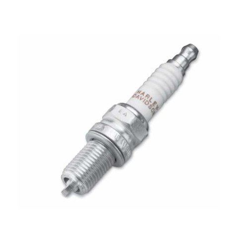 PartzBiz HD: 5001012-Original Harley-Davidson Spark Plug 31600012 / 6R10 / 1 Pack / M8 And Revolution X
